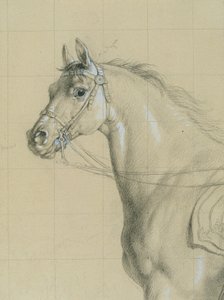 Estudo de cavalos para "Arquiduque Karl com sua equipe na batalha de Aspern" de Johann Peter Krafft