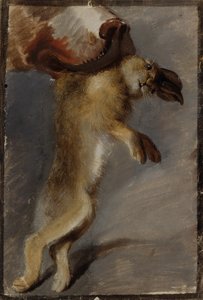 Estudo de uma lebre de Johann Peter Krafft