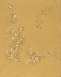 Weinstock, Estudo para "Hermann e Dorothea in the Vineyard" de Johann Peter Krafft