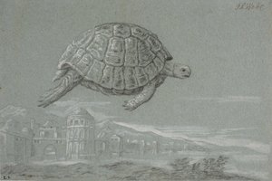 Estudo de uma tartaruga e perspectiva de uma cidade fortificada à beira-mar (Veneza)