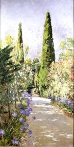 Corfu: Cypress Trees e Oleander (óleo sobre tela) de Johann Viktor Krämer