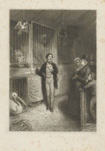 Observação de animais de Johann Wilhelm Kaiser (I)