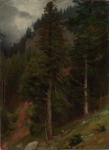 Encosta na floresta de abetos de Johann Wilhelm Schirmer
