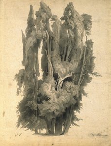Ciprestes no Parque da Villa d&39;Este em Tivoli de Johann Wilhelm Schirmer