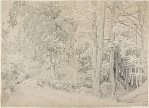 Na floresta de faias de Johann Wilhelm Schirmer