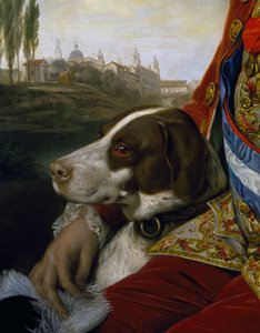 Cão, detalhe do retrato de Fernão de Bourbon, Duque de Parma