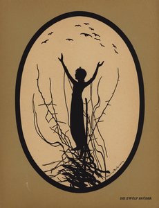 Os Doze Irmãos (lito)