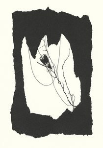 Silhueta de Johanna Beckmann (litografia) de Johanna Beckmann