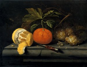 Frutas em uma mesa de pedra, c1653-1659 de Johannes Borman