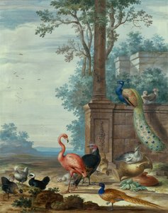 Uma paisagem italiana com um pavão, faisão, flamingo e outras aves (gouache) de Johannes Bronckhorst