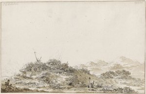 paisagem de dunas