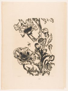Studie papavers (título original sobre o objecto) de Johannes Frederik Engelbert ten Klooster (signed by artist)