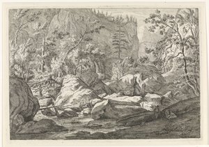 Ravina com pedregulhos e árvores Paisagens nas Montanhas Chartreuzer (título da série) de Johannes Glauber