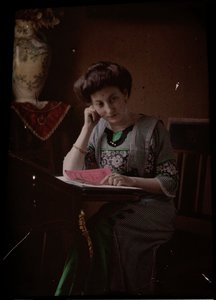Mulher atrás da mesa de leitura de Johannes Hendrikus Antonius Maria Lutz