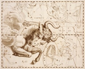 Taurus (signo zodiacal), gravura de Firmamentum Sobiescianum sive Uranographia, catálogo completo em estrela, de Johann Hevelius (1611-1687), impresso em Gdansk