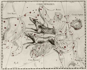 A constelação Canes Venatici, Cães de Caça. Placa retirada de "Firmamentum Sobiescanum sive Uranographia" de Johannes Hevelius ou Hevel (1611-1687) de Johannes Hevelius