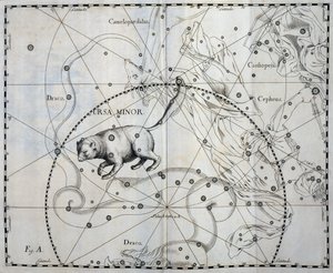 Ursa Minor, constelação boreal da Ursa Minor, gravura de atlas celeste Firmamentum Sobiescianum sive Uronographia, de Johann Hevelius (1611-1687), Gdansk de Johannes Hevelius