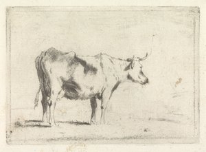 Vaca, à direita de Johannes Janson (possibly)