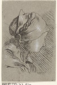 busto feminino de Johannes Janson (possibly)