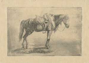 Cavalo selado à direita