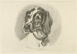 Cabeça de cão com coleira de anel