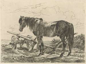 Cavalo numa charrua
