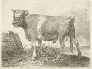 Taurus de Johannes Mock