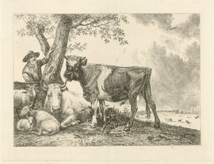 Touro e agricultor