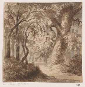paisagem da floresta de Johannes Tavenraat