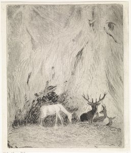 Cervos em uma floresta boêmia de Johannes Tavenraat