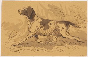 cachorro de caça de Johannes Tavenraat