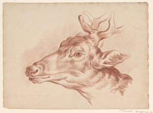 Cabeça de um cervo, à esquerda de Johannes Tavenraat