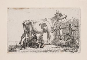 Uma vaca em repouso e uma vaca em pé de Johannes Wilhelm Zillen