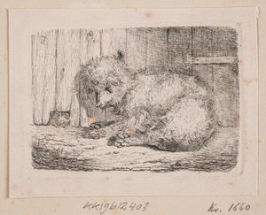 Um cão de pelo comprido de Johannes Wilhelm Zillen