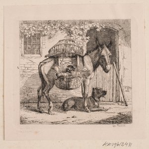 O burro do vendedor de galinhas