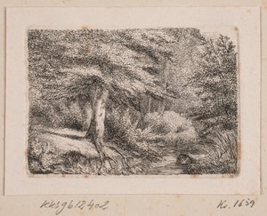Lote da floresta de Johannes Wilhelm Zillen