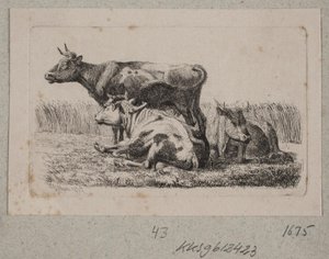 Três vacas