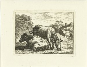 Duas vacas ao longo da estrada na fazenda