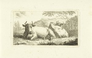 Duas vacas deitadas