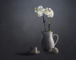 Natureza morta elegante com orquídeas de John-Mei Zhong