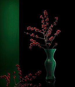 Bagas de Inverno Elegantes de John-Mei Zhong