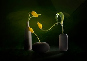 Vasos florais verdes e amarelos