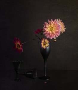 Natureza morta de Dahlia, da Moody de John-Mei Zhong