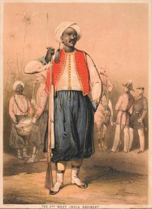 Soldado, 3º Regimento das Índias Ocidentais