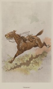 Riderless (cor litho)