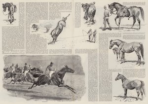 A Carreira de um Cavalo de Corrida (gravação)