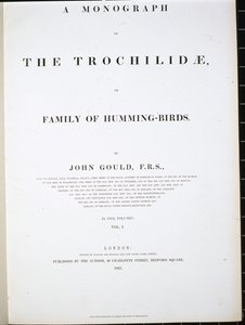Frontispício (litro colorido à mão) de John (after) Gould
