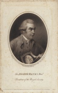 Sir Joseph Banks, naturalista inglês, botânico e presidente da Royal Society (gravura) de John (after) Russell