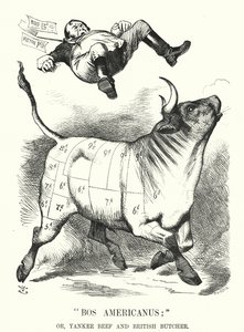 Soco cartoon: Bos Americanus; ou, Yankee Beef and British Butcher - benefícios esperados para os consumidores da importação de carne americana (gravura) de John (after) Tenniel