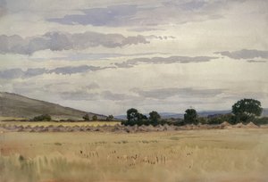 Paisagem com milharal (wc no papel) de John Absolon